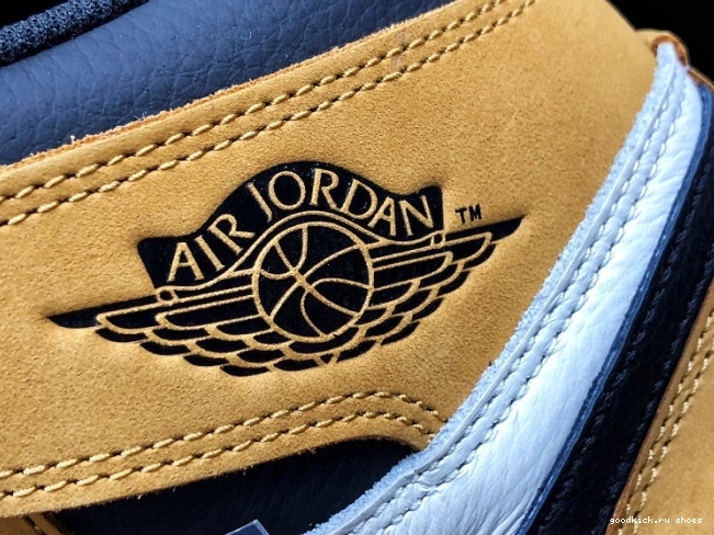 Rookie the OG 555088-700 of High Year Retro Air 1 Jordan 0810
